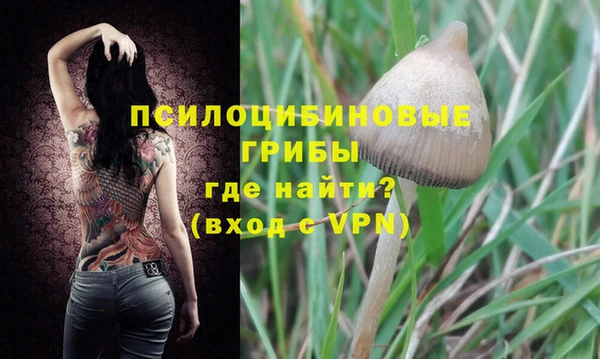 MDMA Premium VHQ Горнозаводск